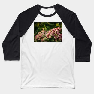 Bee On Sedum Flower 2 Baseball T-Shirt